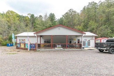 Lake Commercial For Sale in Piedmont, Missouri