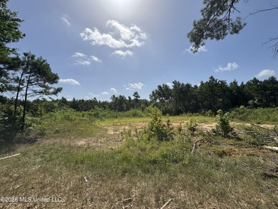 80+/- Acres - Topisaw Creek Recreational Tract, Southwest - photo 12