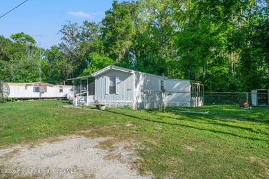 Updated 2/1 Lake Panasoffkee home with a newer metal roof - photo 3