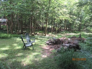 Want a piece of iconic history? This 3 BR 1 bath year round - photo 28