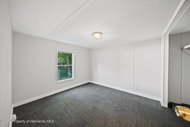Updated 2/1 Lake Panasoffkee home with a newer metal roof - photo 10