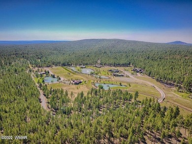 Lake Lot For Sale in Pinetop, Arizona