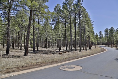 9579 Sierra Springs Dr - photo 2