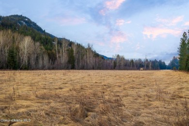 Lake Pend Oreille Acreage For Sale in Sandpoint Idaho