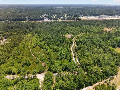(private lake, pond, coastal) Acreage For Sale in Rincon Georgia