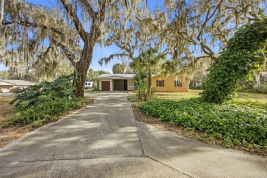 Lake Miona  Home Sale Pending in Wildwood Florida