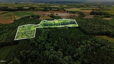GREAT OPPORTUNITY +/- 58 ACRES with 60' access easement in rural - photo 12