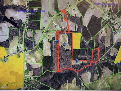 GREAT OPPORTUNITY +/- 58 ACRES with 60' access easement in rural - photo 13