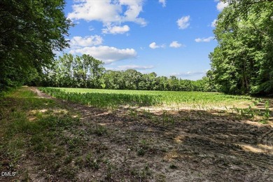 GREAT OPPORTUNITY +/- 58 ACRES with 60' access easement in rural - photo 15