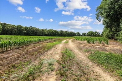 GREAT OPPORTUNITY +/- 58 ACRES with 60' access easement in rural - photo 16