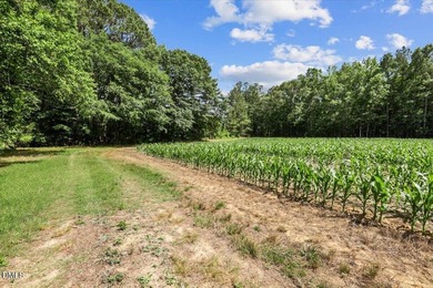 GREAT OPPORTUNITY +/- 58 ACRES with 60' access easement in rural - photo 17