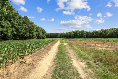 GREAT OPPORTUNITY +/- 58 ACRES with 60' access easement in rural - photo 18