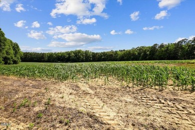 GREAT OPPORTUNITY +/- 58 ACRES with 60' access easement in rural - photo 19