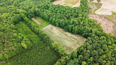 GREAT OPPORTUNITY +/- 58 ACRES with 60' access easement in rural - photo 23