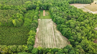 GREAT OPPORTUNITY +/- 58 ACRES with 60' access easement in rural - photo 24