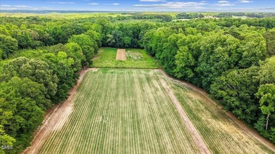 GREAT OPPORTUNITY +/- 58 ACRES with 60' access easement in rural - photo 25