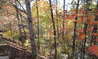 Rare opportunity to buy in the Alpines of Helen! Beautifully - photo 4