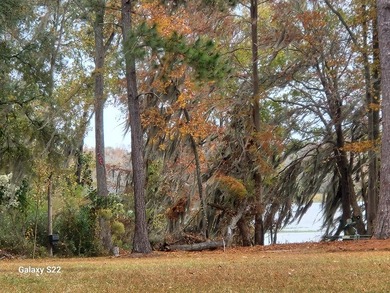 WATERFRONT LOT ON THE FLINT RIVER leading into LAKE CHEHAW!! - photo 3