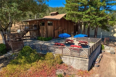 Lake Home For Sale in Lower Lake, California