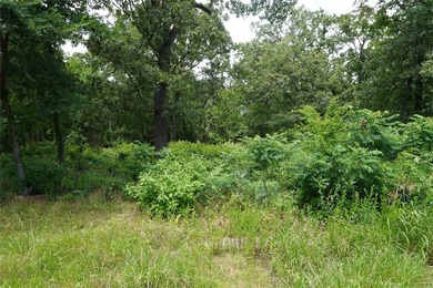 Build your dream home in this Country Club addition with 1.14 - photo 5