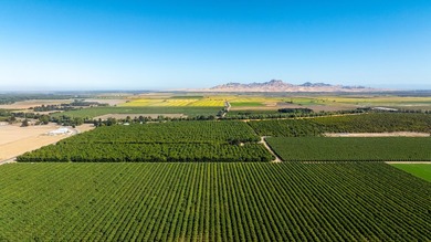 Situated amidst walnut orchards and along the scenic Sacramento - photo 36