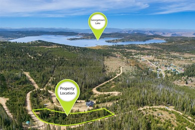 Georgetown Lake Acreage For Sale in Anaconda Montana