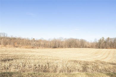 Don't miss this once-in-a-lifetime opportunity to own 34 acres - photo 19
