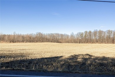 Don't miss this once-in-a-lifetime opportunity to own 34 acres - photo 20
