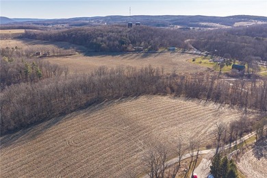 Don't miss this once-in-a-lifetime opportunity to own 34 acres - photo 26