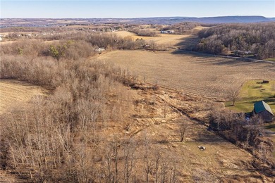 Don't miss this once-in-a-lifetime opportunity to own 34 acres - photo 28