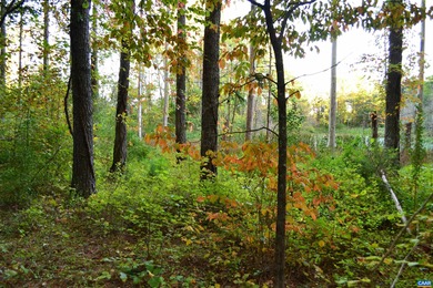 (private lake, pond, coastal) Acreage Sale Pending in Charlottesville Virginia