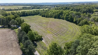 Don't miss this once-in-a-lifetime opportunity to own 34 acres - photo 37