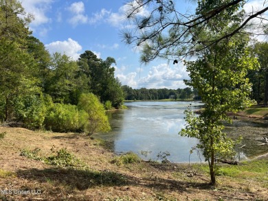 (private lake, pond, creek) Acreage For Sale in Madison Mississippi