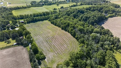 Don't miss this once-in-a-lifetime opportunity to own 34 acres - photo 43