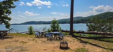 Custom-Built Brick Basement Ranch with Norris Lake Views! - photo 48