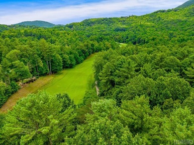 This .75 acre gently sloping golf course lot overlooks #3 green - photo 11