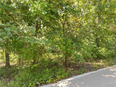 Lake Lot For Sale in Perryville, Missouri