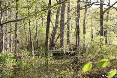 Enjoy the serenity of an *on golden pond* setting with this - photo 11