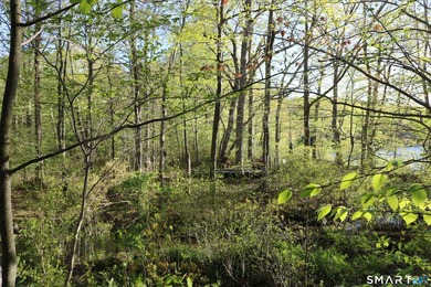 Enjoy the serenity of an *on golden pond* setting with this - photo 13