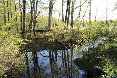 Enjoy the serenity of an *on golden pond* setting with this - photo 14