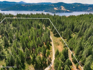 Coeur d Alene Lake Acreage For Sale in Harrison Idaho