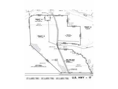 86.74 acres (Tract 3) located in northern Glynn County on US-Hwy - photo 1