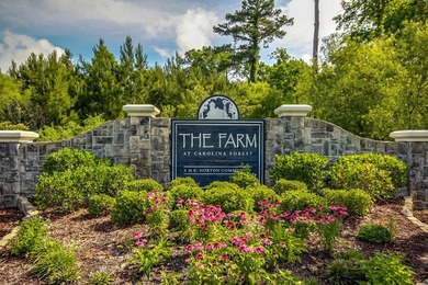 Discover the space, flexibility and convenient Carolina Forest - photo 47