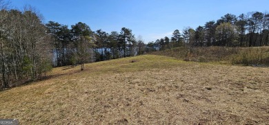 Lake Lot For Sale in Toccoa, Georgia