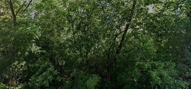 Buildable Lot with NO wetlands based on wetland delineation - photo 1