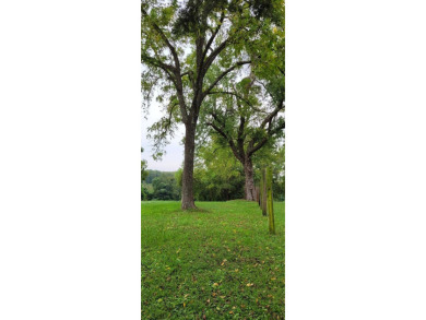 Lake Acreage For Sale in Burkeville, Virginia