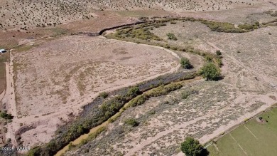 Lake Acreage For Sale in Woodruff, Arizona