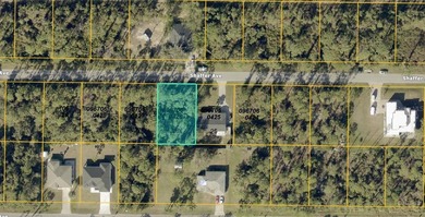 No HOAs with fees or deed restrictions or CDDs. Not on the North - photo 2