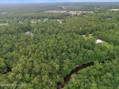 Discover the perfect opportunity to build your dream home on - photo 12