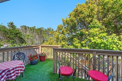 Rare coastal investment opportunity on Santa Cruz's highly - photo 16